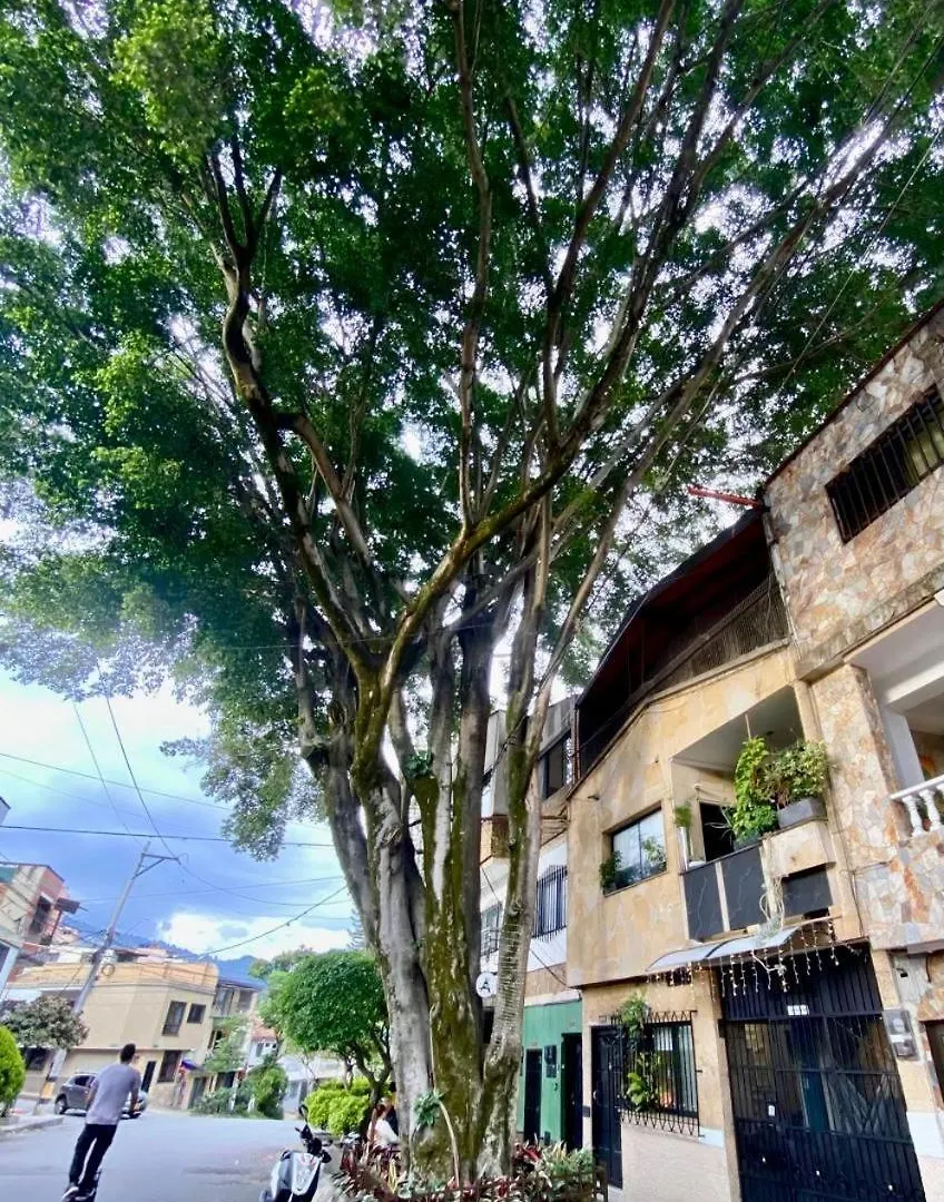 Apartment Acogedor Y Comodo Estadio Laureles Medellin